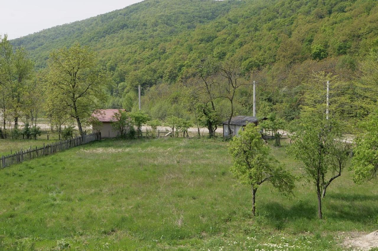 Pensiunea Happy Schitu Topolnitei Exterior foto
